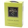 Foot of Africa Chenin Blanc 3 l. BIB